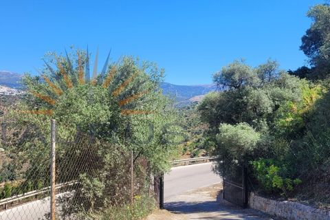 Villa i Sayalonga, Malaga, Sayalonga - € 670.000 | Ref: C3974 - foto 23