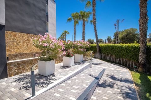 Penthouse i Los Altos, Alicante, Los Altos - € 300.000 | Ref: MLSC243065 - foto 33