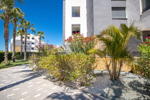 Penthouse i Los Altos, Alicante, Los Altos - € 300.000 | Ref: MLSC243065 - foto 34
