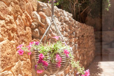 Villa i Cala Lliteres, Mallorca, Cala Lliteres - € 1.870.000 | Ref: FALC-HeMa-85676 - foto 45
