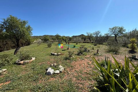 Landejendom i Lubrin, Almeria, Lubrin - € 385.000 | Ref: 2906 - foto 42