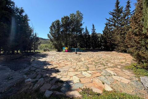 Landejendom i Lubrin, Almeria, Lubrin - € 385.000 | Ref: 2906 - foto 45