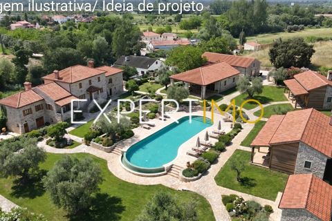 Farm i Pombal, Leiria, Pombal - € 990.000 | Ref: QUI_2916_AMOT - foto 4