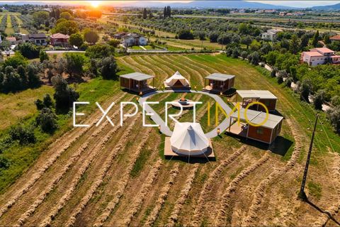 Farm i Pombal, Leiria, Pombal - € 990.000 | Ref: QUI_2916_AMOT - foto 7