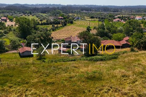 Farm i Pombal, Leiria, Pombal - € 990.000 | Ref: QUI_2916_AMOT - foto 12