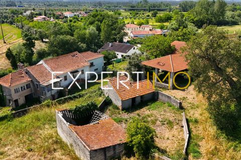 Farm i Pombal, Leiria, Pombal - € 990.000 | Ref: QUI_2916_AMOT - foto 13