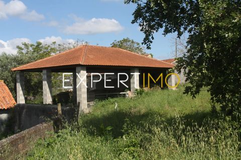 Farm i Pombal, Leiria, Pombal - € 990.000 | Ref: QUI_2916_AMOT - foto 14