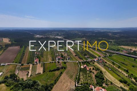 Farm i Pombal, Leiria, Pombal - € 990.000 | Ref: QUI_2916_AMOT - foto 15