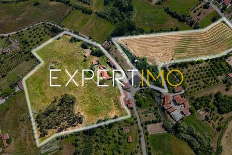 Farm i Pombal, Leiria, Pombal - € 990.000 | Ref: QUI_2916_AMOT - foto 16