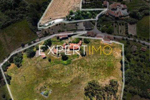 Farm i Pombal, Leiria, Pombal - € 990.000 | Ref: QUI_2916_AMOT - foto 17