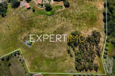 Farm i Pombal, Leiria, Pombal - € 990.000 | Ref: QUI_2916_AMOT - foto 18