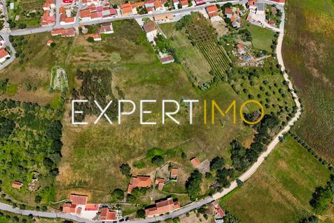 Farm i Pombal, Leiria, Pombal - € 990.000 | Ref: QUI_2916_AMOT - foto 19