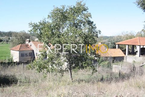 Farm i Pombal, Leiria, Pombal - € 990.000 | Ref: QUI_2916_AMOT - foto 21
