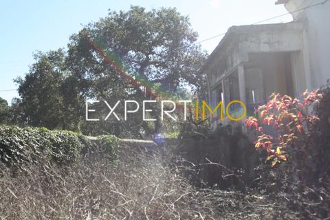Farm i Pombal, Leiria, Pombal - € 990.000 | Ref: QUI_2916_AMOT - foto 22