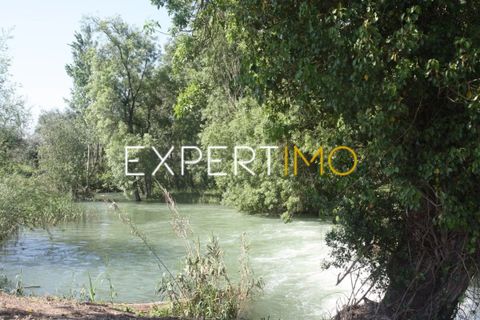 Farm i Pombal, Leiria, Pombal - € 990.000 | Ref: QUI_2916_AMOT - foto 23