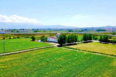 Finca i Granada, Granada, Granada - € 1.650.000 | Ref: 85063 - foto 16