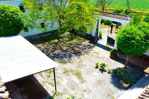 Finca i Granada, Granada, Granada - € 1.650.000 | Ref: 85063 - foto 25