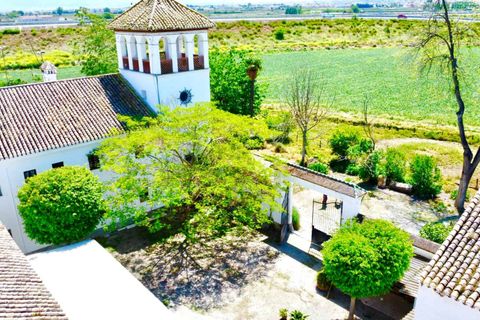 Finca i Granada, Granada, Granada - € 1.650.000 | Ref: 85063 - foto 26