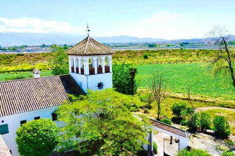Finca i Granada, Granada, Granada - € 1.650.000 | Ref: 85063 - foto 27