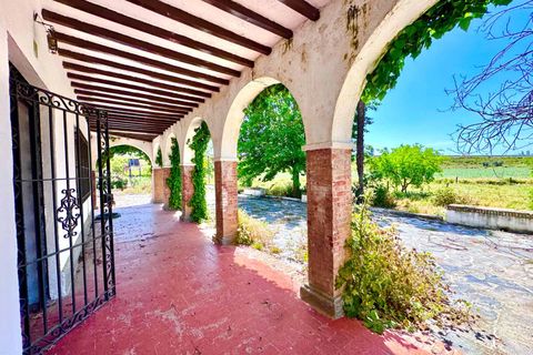 Finca i Granada, Granada, Granada - € 1.650.000 | Ref: 85063 - foto 37