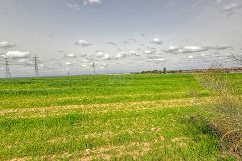 Terra a Madrid, Madrid, Madrid - € 1.814.210 | Ref: 869650 - foto 10