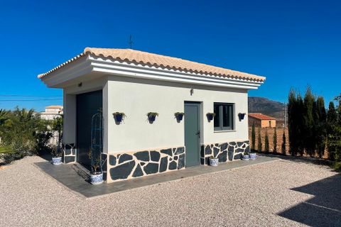 Villa in Pinoso, Alicante - foto 3