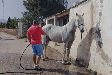 Haus in Monovar, Alicante - Foto 3