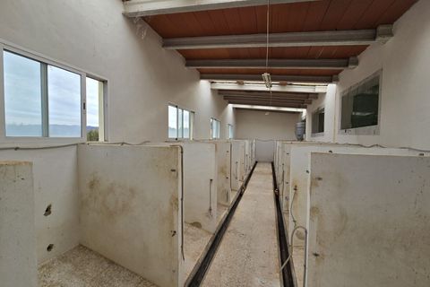 Landejendom i Salinas, Alicante, Salinas - € 470.000 | Ref: viIVD13855 - foto 47