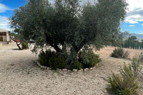 Villa a Macisvenda, Murcia, Macisvenda - € 289.000 | Ref: rbMP6504 - foto 36