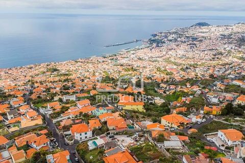 Villa i Funchal, Madeira, Funchal - € 1.250.000 | Ref: 12075-RA - foto 4