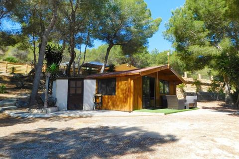 Træhytte i Torremendo, Alicante, Torremendo - € 330.000 | Ref: WT0040 - foto 44