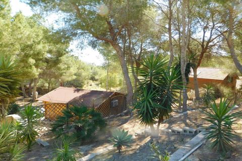 Træhytte i Torremendo, Alicante, Torremendo - € 330.000 | Ref: WT0040 - foto 43