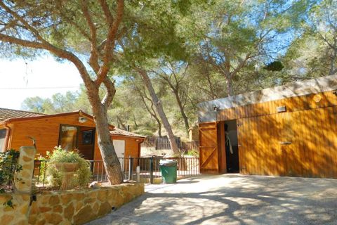 Træhytte i Torremendo, Alicante, Torremendo - € 330.000 | Ref: WT0040 - foto 6