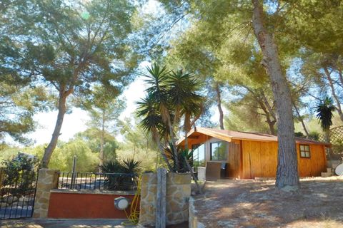 Træhytte i Torremendo, Alicante, Torremendo - € 330.000 | Ref: WT0040 - foto 4