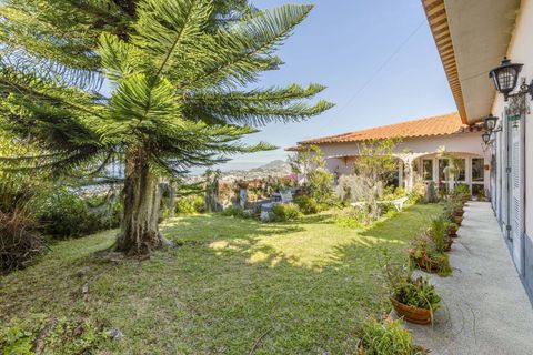 Villa i Funchal, Madeira, Funchal - € 1.050.000 | Ref: MOBRIEN-12442 - foto 14