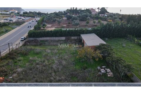 Terra a Luz, Faro, Luz - € 300.000 | Ref: T227 - foto 2