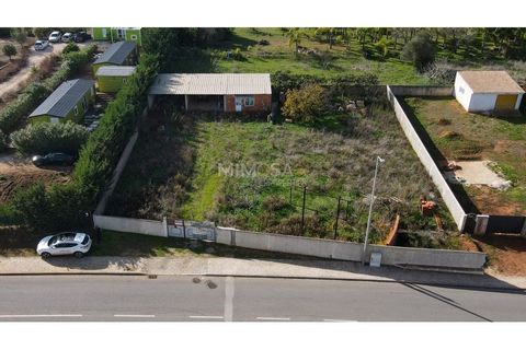 Terra a Luz, Faro, Luz - € 300.000 | Ref: T227 - foto 4