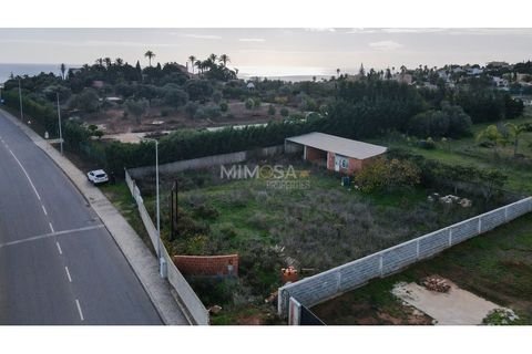 Terra a Luz, Faro, Luz - € 300.000 | Ref: T227 - foto 5
