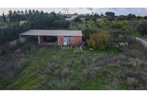Terra a Luz, Faro, Luz - € 300.000 | Ref: T227 - foto 7