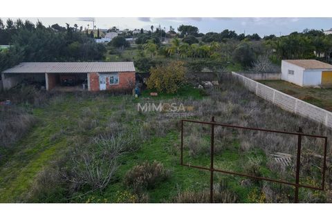 Terra a Luz, Faro, Luz - € 300.000 | Ref: T227 - foto 8