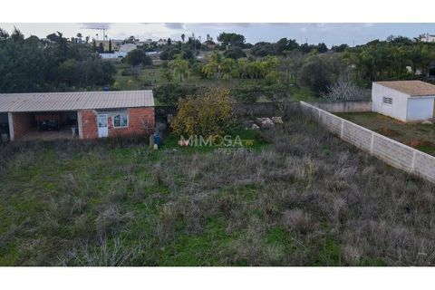 Terra a Luz, Faro, Luz - € 300.000 | Ref: T227 - foto 9
