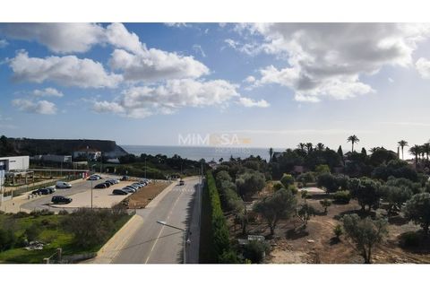 Terra a Luz, Faro, Luz - € 300.000 | Ref: T227 - foto 10