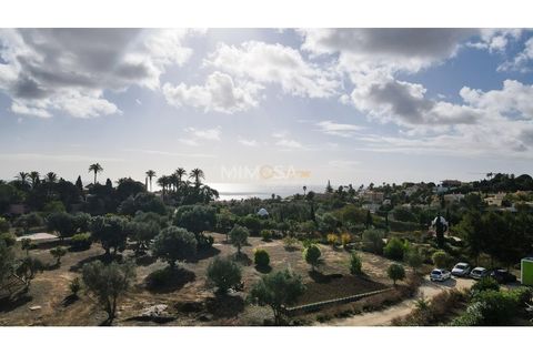 Terra a Luz, Faro, Luz - € 300.000 | Ref: T227 - foto 11