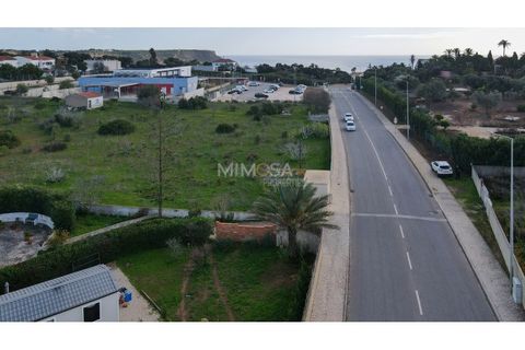 Terra a Luz, Faro, Luz - € 300.000 | Ref: T227 - foto 15