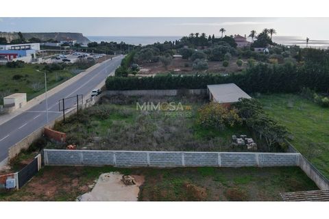 Terra a Luz, Faro, Luz - € 300.000 | Ref: T227 - foto 16