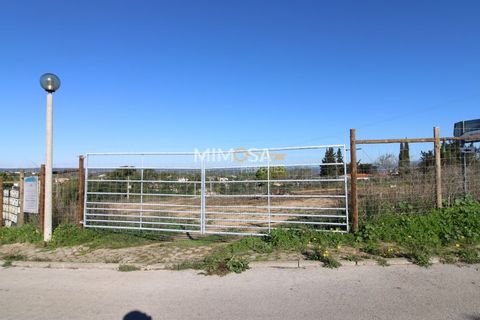 Terra a Luz, Faro, Luz - € 490.000 | Ref: T293 - foto 4