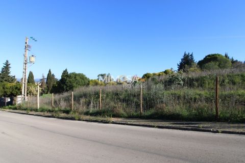 Terra a Luz, Faro, Luz - € 490.000 | Ref: T293 - foto 5