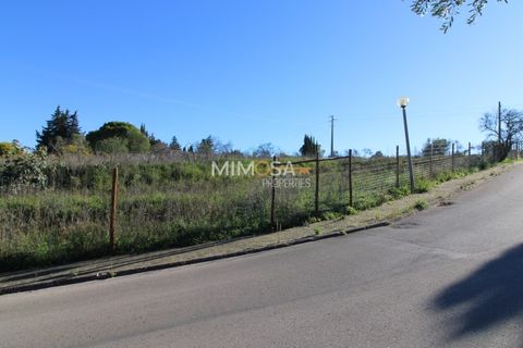 Terra a Luz, Faro, Luz - € 490.000 | Ref: T293 - foto 6