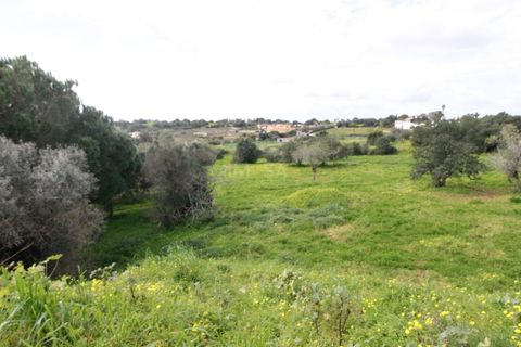 Helårsgrund i Alvor, Faro, Alvor - € 212.500 | Ref: T305 - foto 8