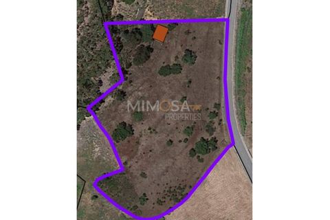 Helårsgrund i Monchique, Faro, Monchique - € 125.000 | Ref: T306 - foto 2
